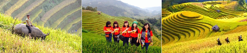 Du lịch Mù Căng Chải
